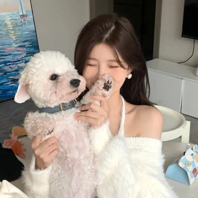 比翼双飞